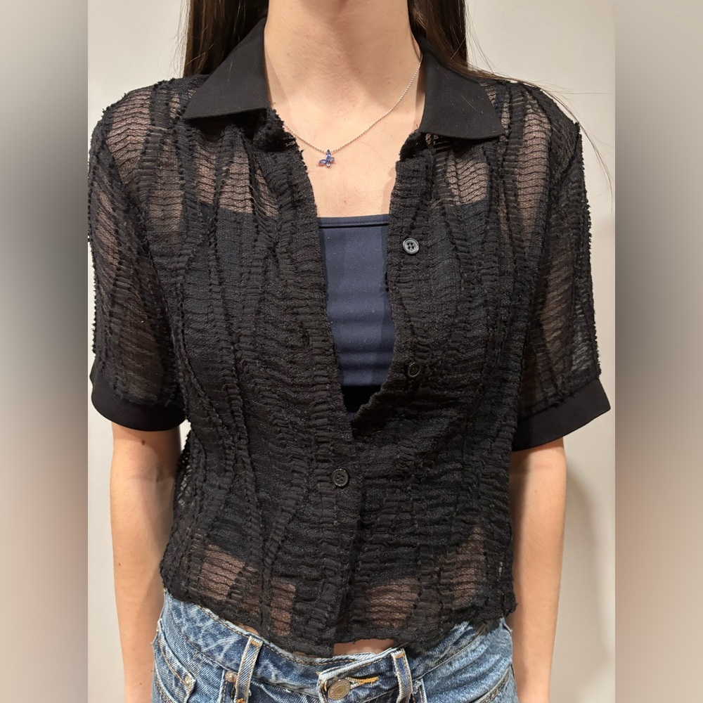 Elegant Black Sheer Women's Top